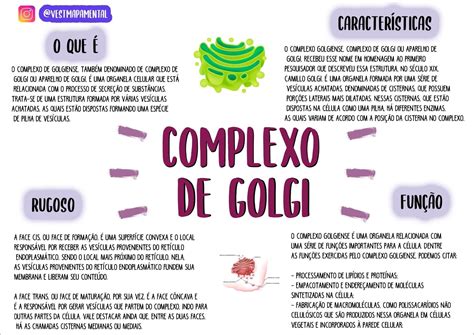 COMPLEXO .
